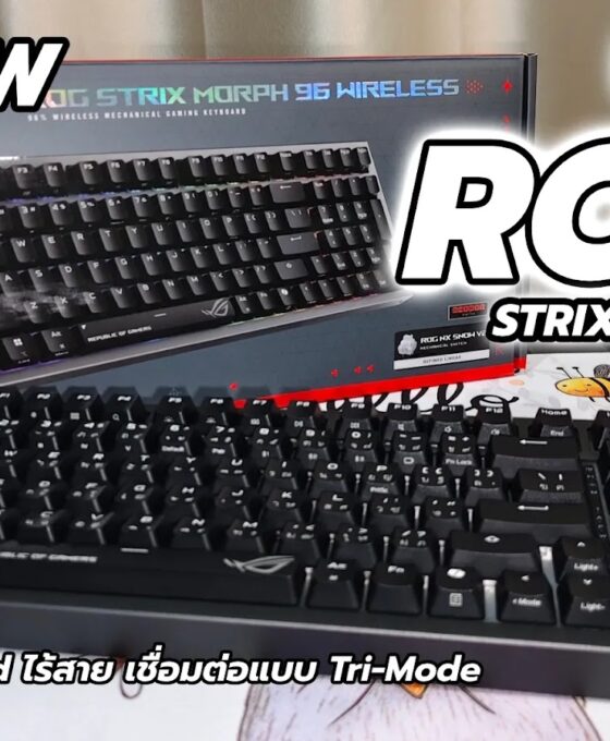 ROG Cover