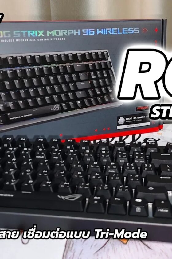 ROG Cover