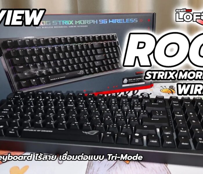 ROG Cover
