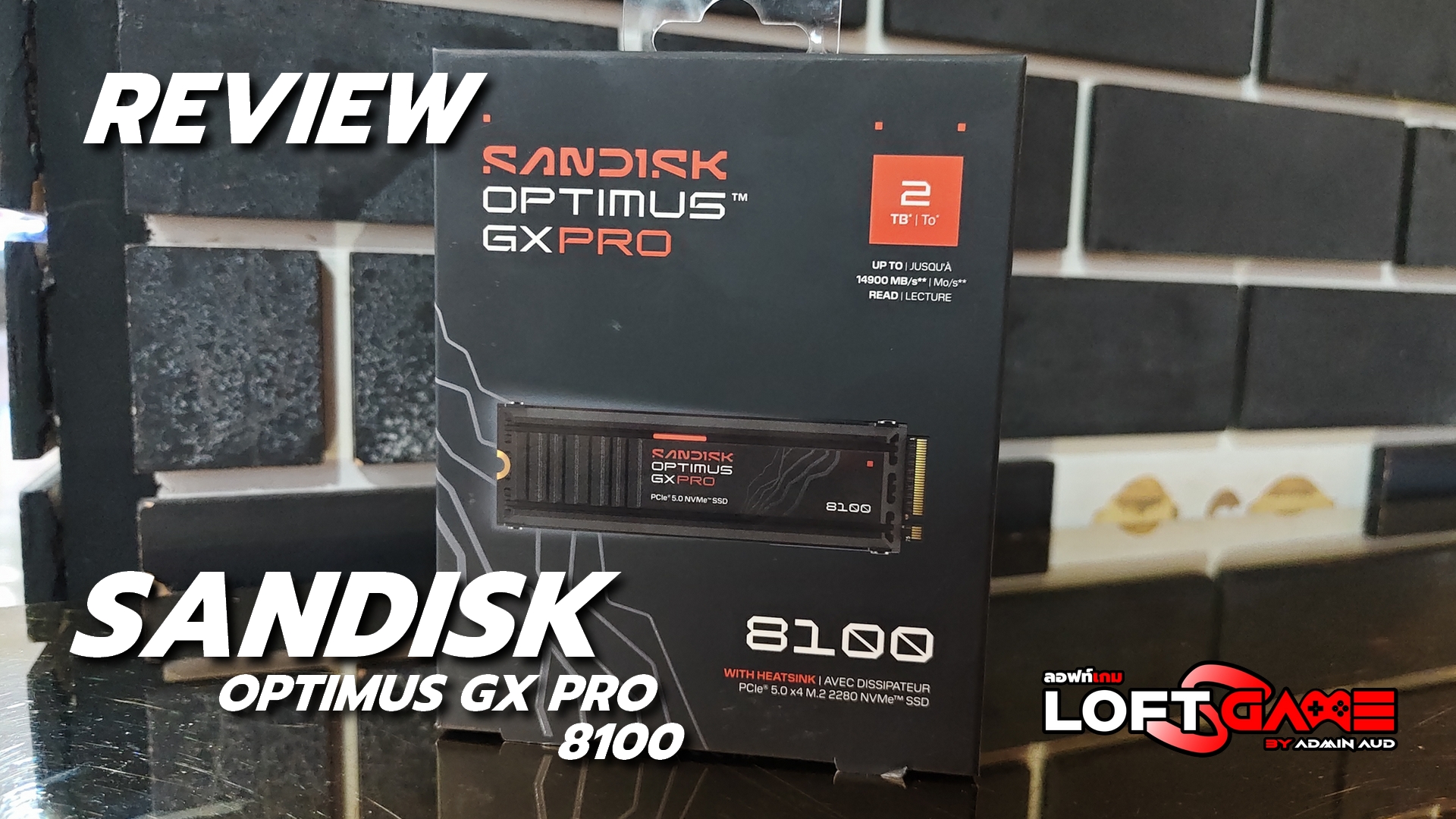SANDISK Cover
